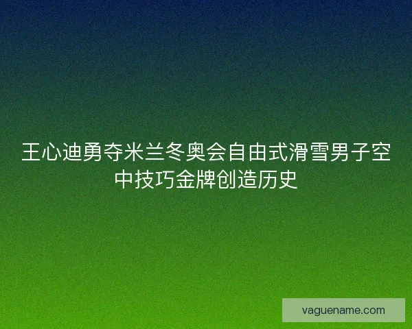 王心迪勇夺米兰冬奥会自由式滑雪男子空中技巧金牌创造历史