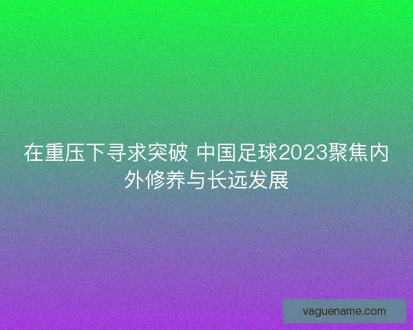 在重压下寻求突破 中国足球2023聚焦内外修养与长远发展