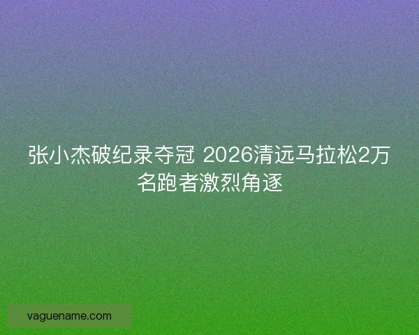 张小杰破纪录夺冠 2026清远马拉松2万名跑者激烈角逐 张小杰破纪录夺冠 2026清远马拉松2万名跑者激烈角逐